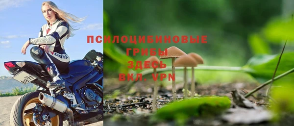 трава Бежецк