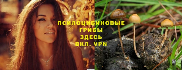 стаф Белая Калитва