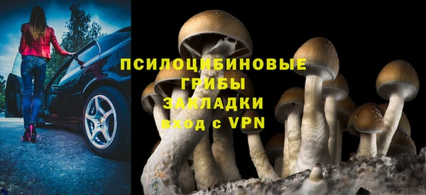 трава Бежецк