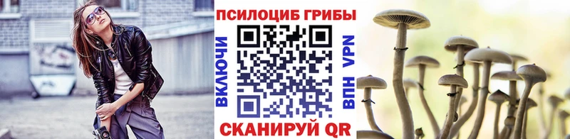 Галлюциногенные грибы Psilocybe  Буинск 