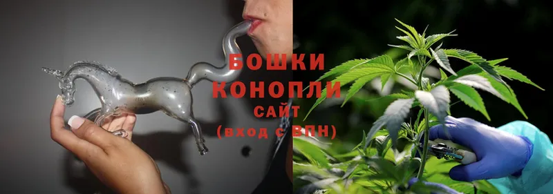 Каннабис OG Kush  купить   Буинск 